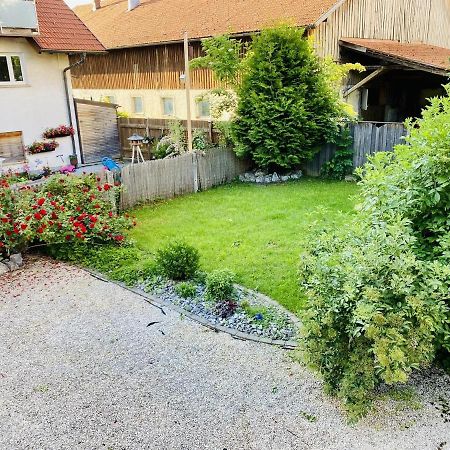 Pension Hirsch Seeg Exteriör bild