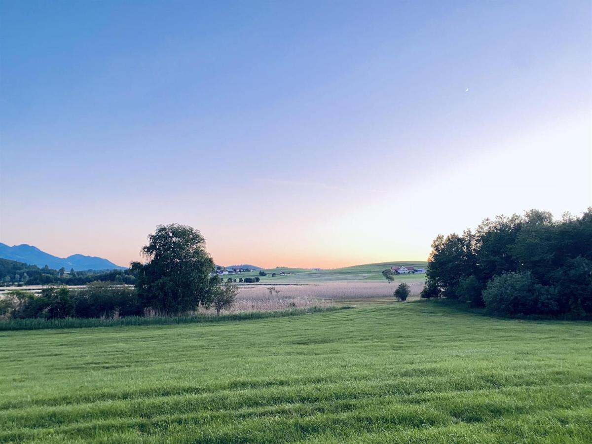 Pension Hirsch Seeg Exteriör bild